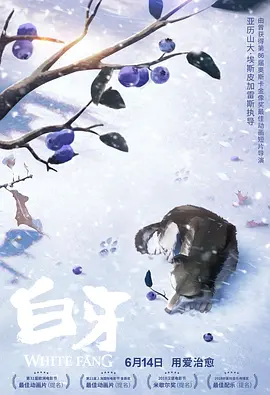 综合久久久久综合